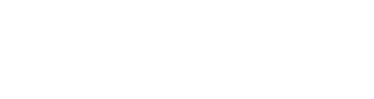 Logo firmy Dźwigi  i Zwyżki  EFEKT